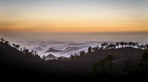 4K Time Lapse Clouds Silhouette Trees Tenerife Canary Islands Spain Stock Footage 66778545