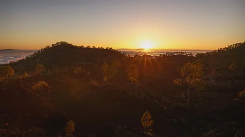 4K Time Lapse Clouds Sunset Trees Silhouette Tenerife Canary Islands Stock Footage 66796284