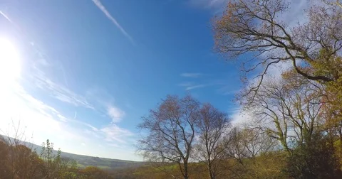 4K time lapse clouds through the trees Stock Footage 82793231