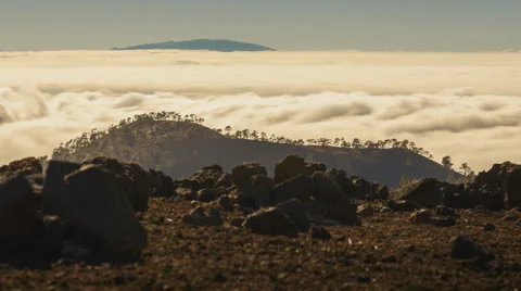 4K Time Lapse Clouds Trees Silhouette Tenerife Canary Islands Spain Stock Footage 66786108