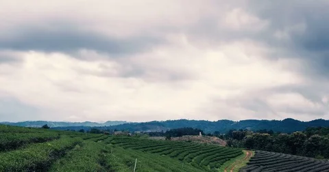 4K Time Lapse cloudscape and landscape 库存影片 82733611