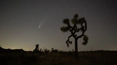 4K Time Lapse Of The Comet Neowise In Joshua Tree National Park Stock Footage 135852494