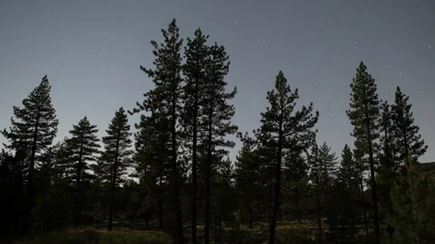 4K Time Lapse Of Comet Neowise between trees in the Angeles National Forest Stock Footage 136866826