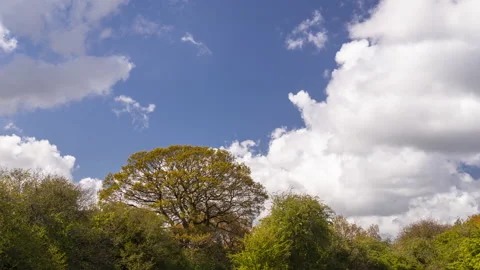 4K time lapse of cumulus clouds over woodland, North Wales Stock Footage 153667375