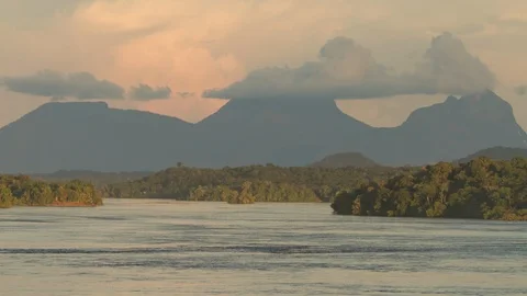 4K Time lapse of a day in the Amazon rainforest Stock Footage 89686020