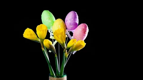 4K Time Lapse of Easter Bouquet of Daffodil Flowers Blooming and Painted Eggs. Video stock 103784170