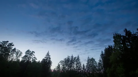 4k TIME LAPSE: evening sky and fog over forest. Landscape timelapse sequence. Stock Footage 155592480