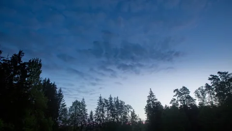 4k TIME LAPSE: evening sky and fog over forest. Landscape timelapse sequence. Stock Footage 253640281