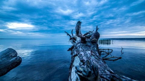 4K Time lapse. Fallen tree in the river. reflection of clouds in water. Stock Footage 72154111