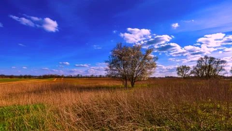 4k time lapse with field, working tractor and blooming bloom tree under sky. Stock Footage 154721075