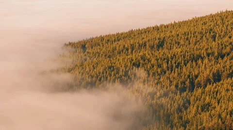 4K Time Lapse Forest Clouds Pine Trees Tenerife Stock Footage 66777934