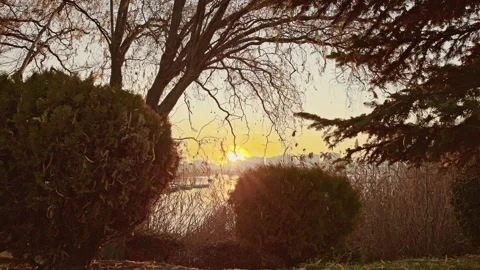 4K Time-Lapse Golden Sunset over Lake with Trees - ProRes 422 HQ Stock Footage 324707308