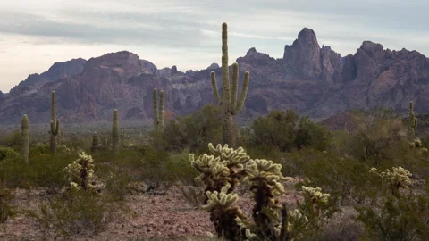 4K Time lapse of gray clouds above Saguaro cacti and distant jagged mountains Stock Footage 146820479