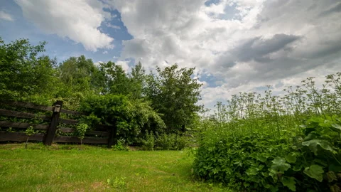 4k time lapse with green backyard under blue cloudy sky. Stock Footage 197673009