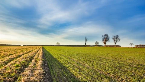 4k time lapse landscape with early spring field and beautiful sky Stock Footage 73687803