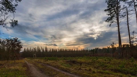 4k time lapse landscape of sandy road in autumnal forest in Poland Stock Footage 84470612
