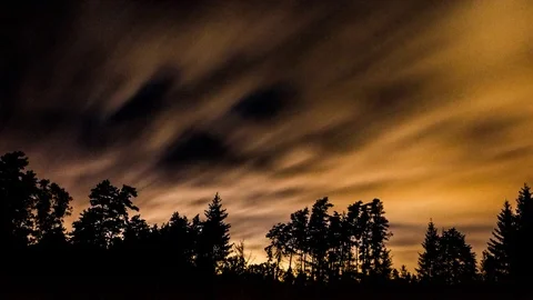 4k time lapse landscape of starry sky over forest 스톡 동영상 80047648