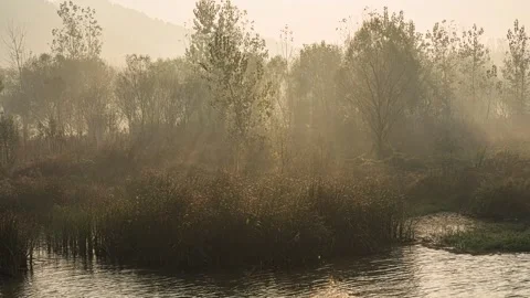 4K Time-lapse of Light, Shadow and Morning Mist in Early Winter Video stock 342123845