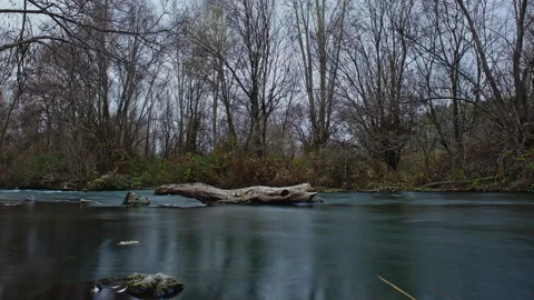 4K Time-Lapse: Log on Rocks in Silky Water River, Deciduous Forest Background Stock Footage 323401946