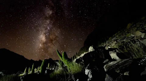 4K Time Lapse Milky Way Rocks Bugloss Tenerife Canary Islands Stock Footage 66777910