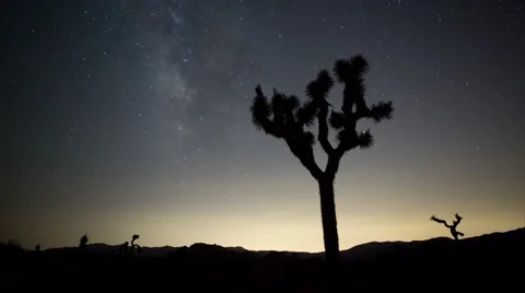 4K time lapse of Milky Way Galaxy stars in Joshua Tree National Park Stock Footage
