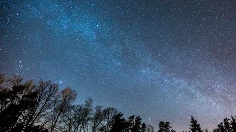 4k time-lapse with Milky Way and starry sky over forest.  Stock Footage 88935157