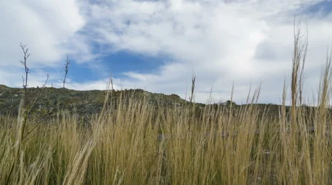 4k Time lapse of mountain field with yellow grass Stock Footage 46841903