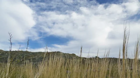 4k Time lapse of mountain field with yellow grass Stock Footage 46842895