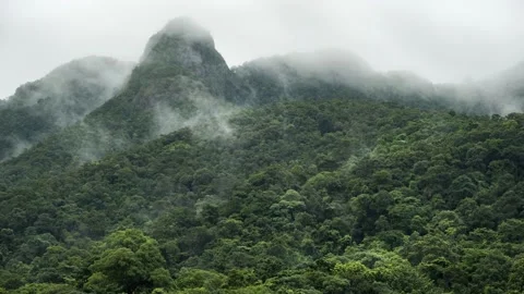 4K time-lapse Mountain peak rain forest with mist Stock Footage 160713041