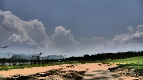 4K Time-lapse the movements of clouds,tree and river Stock Footage 75428820