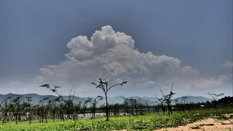 4K Time-lapse the movements of clouds,tree and river Stock Footage 75428871