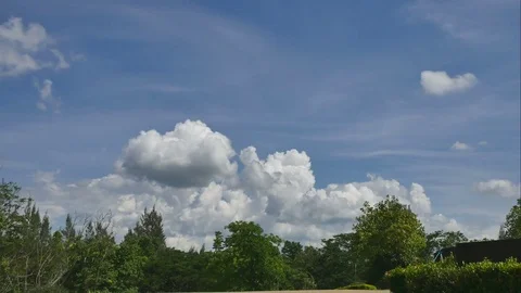 4K Time-lapse the movements of clouds,tree  Stock Footage 76442091