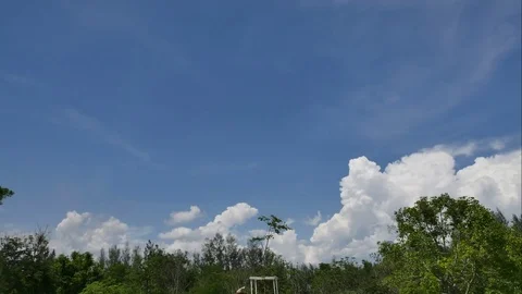 4K Time-lapse the movements of clouds,tree and river Stock Footage 76451407