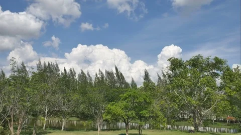 4K Time-lapse the movements of clouds,tree and river Stock Footage 76451530