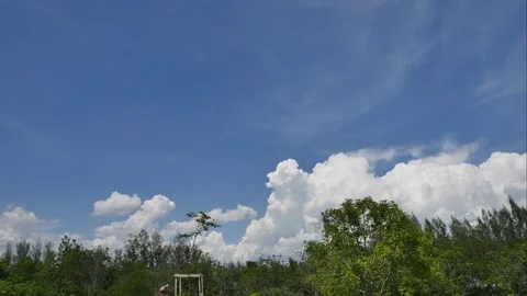 4K Time-lapse the movements of clouds,tree and river Stock Footage 76451589
