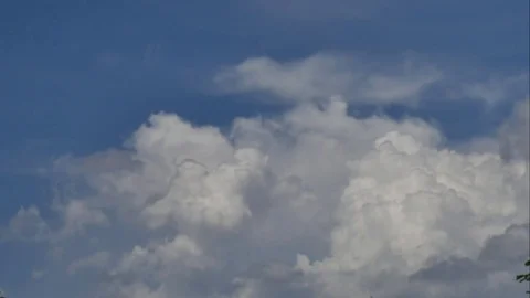 4K Time-lapse the movements of clouds,tree and river Stock Footage 76451605