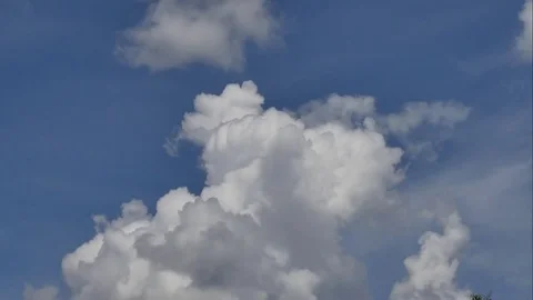 4K Time-lapse the movements of clouds,tree and river Stock Footage 76451610