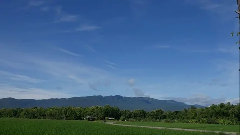 4K Time-lapse the movements of clouds,tree and river Stock Footage 78734222