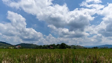 4K Time lapse of moving clouds over organic paddy fields at Bario. Zoom In Stock Footage 89198323
