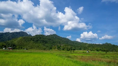 4K Time lapse of moving clouds over organic paddy fields at Bario. Zoom In Stock Footage 89200306