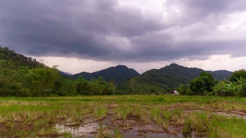 4K Time lapse of moving clouds over organic paddy fields at Bario. Zoom In Stock Footage 89216995