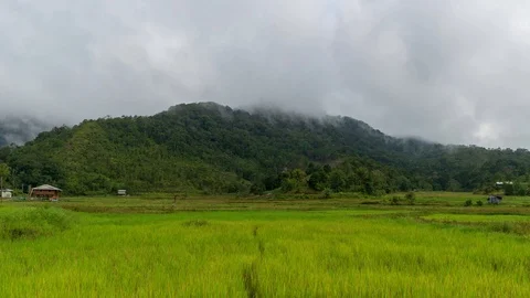4K Time lapse of moving clouds over organic paddy fields at Bario. Zoom In Stock Footage 89219818