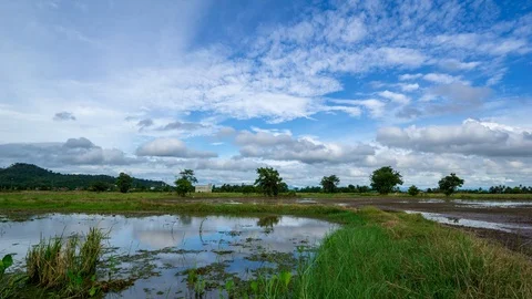 4K Time lapse of moving clouds over paddy fields after harvest season end. Stock Footage 95113951