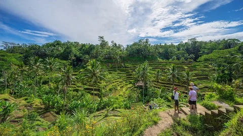 4K Time lapse of moving clouds over beautiful rice terraces in Bali. Stock Footage 102615815