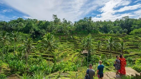 4K Time lapse of moving clouds over beautiful rice terraces in Bali. Stock Footage 102615820