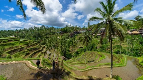 4K Time lapse of moving clouds over beautiful rice terraces in Bali. Stock Footage 102632352