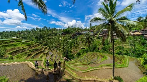 4K Time lapse of moving clouds over beautiful rice terraces in Bali. Stock Footage 102632357