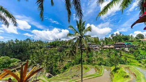 4K Time lapse of moving clouds over beautiful rice terraces in the morning light Stock Footage 102635715