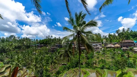 4K Time lapse of moving clouds over beautiful rice terraces in the morning light 스톡 동영상 102635716