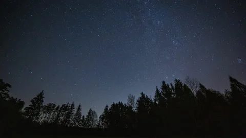 4k time lapse of night starry sky and forest. Stock Footage 164201741